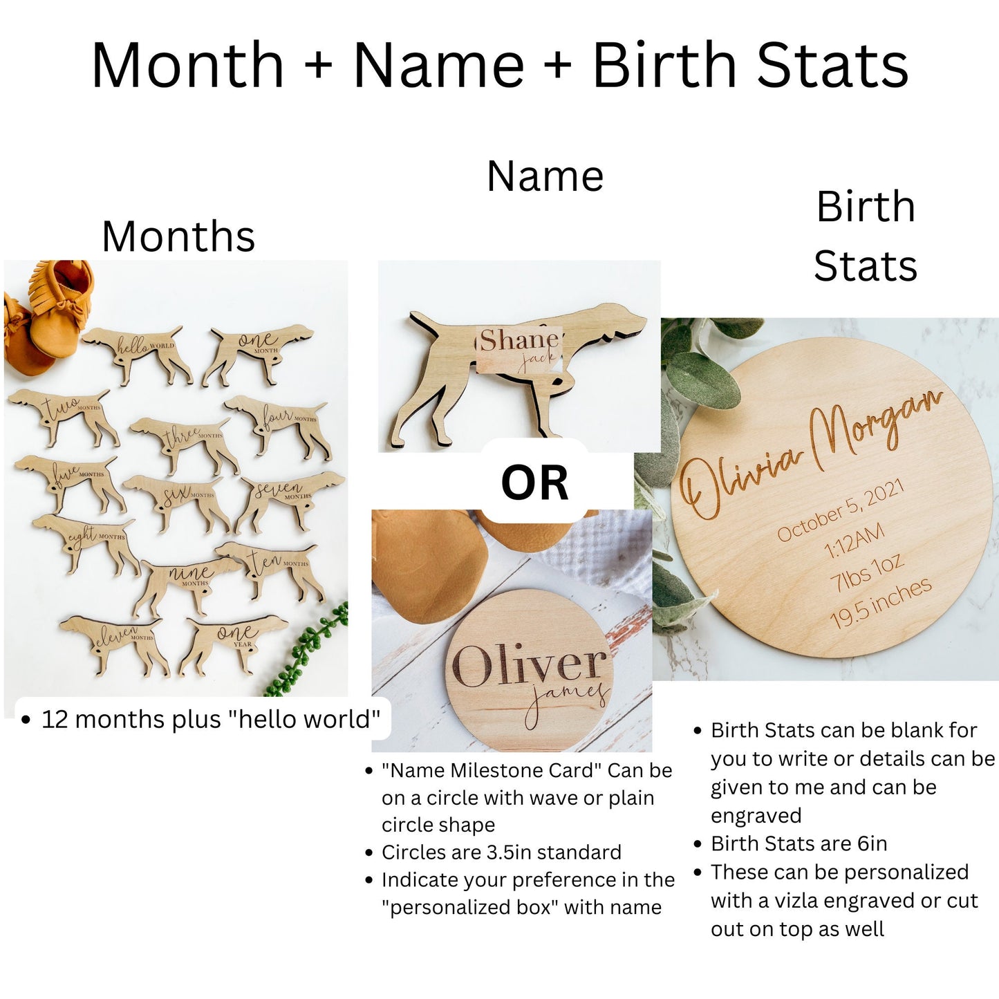 Vizsla Monthly Milestone Cards for Newborn