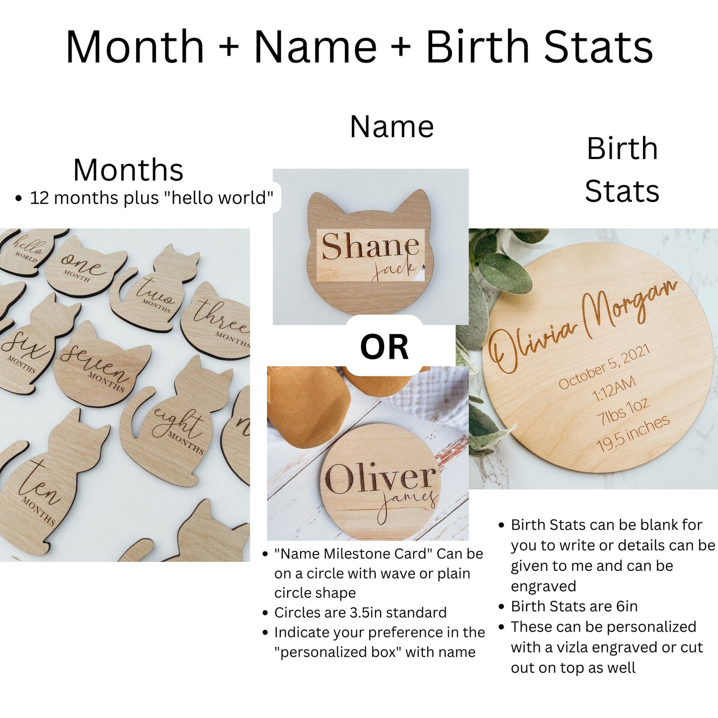 Wooden Monthly Milestone Cat Theme