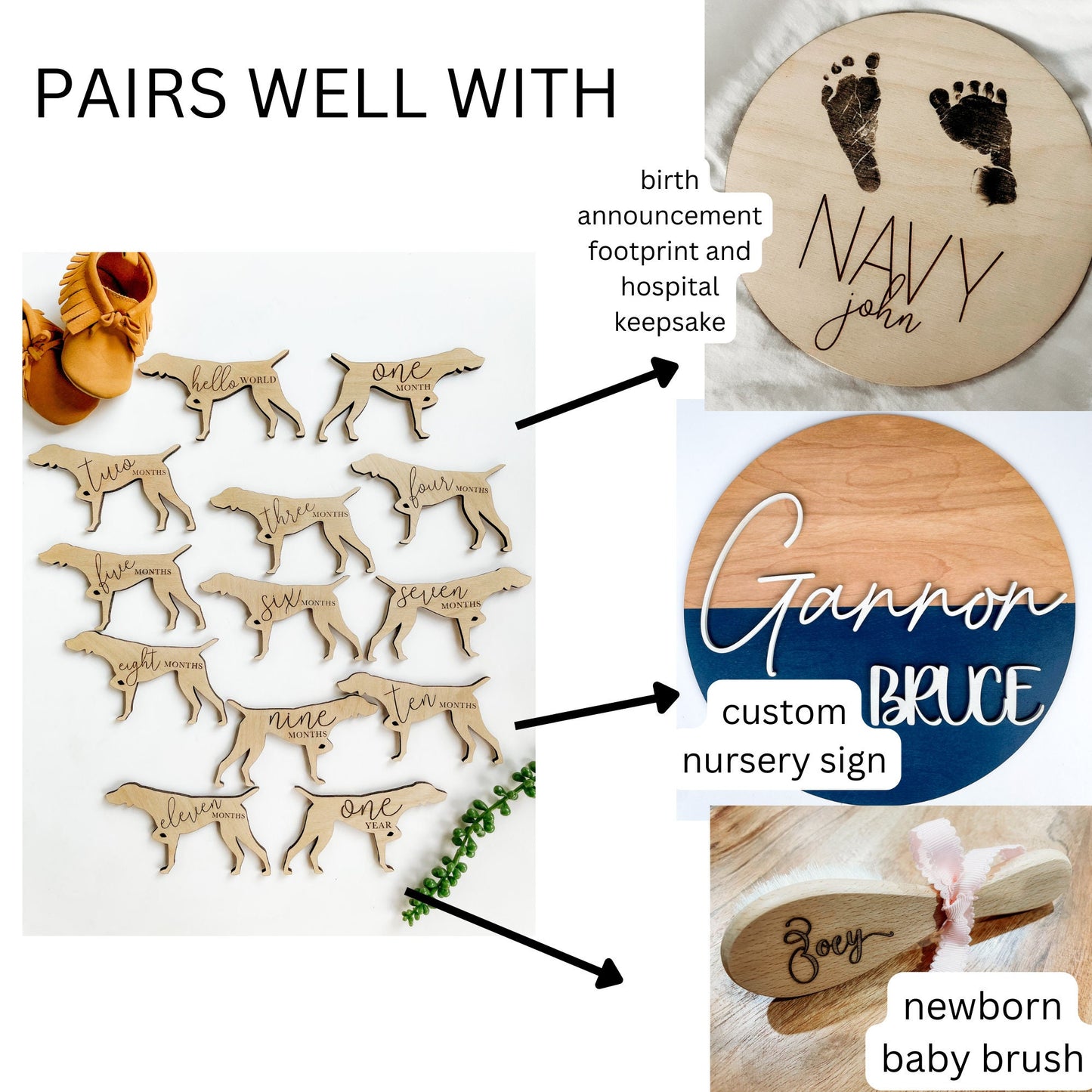 Dog Nursery American Bully Monthly Milestone Plaques