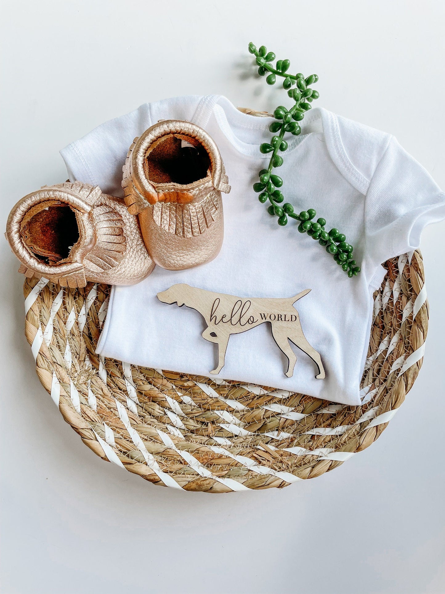 Vizsla Monthly Milestone Cards for Newborn