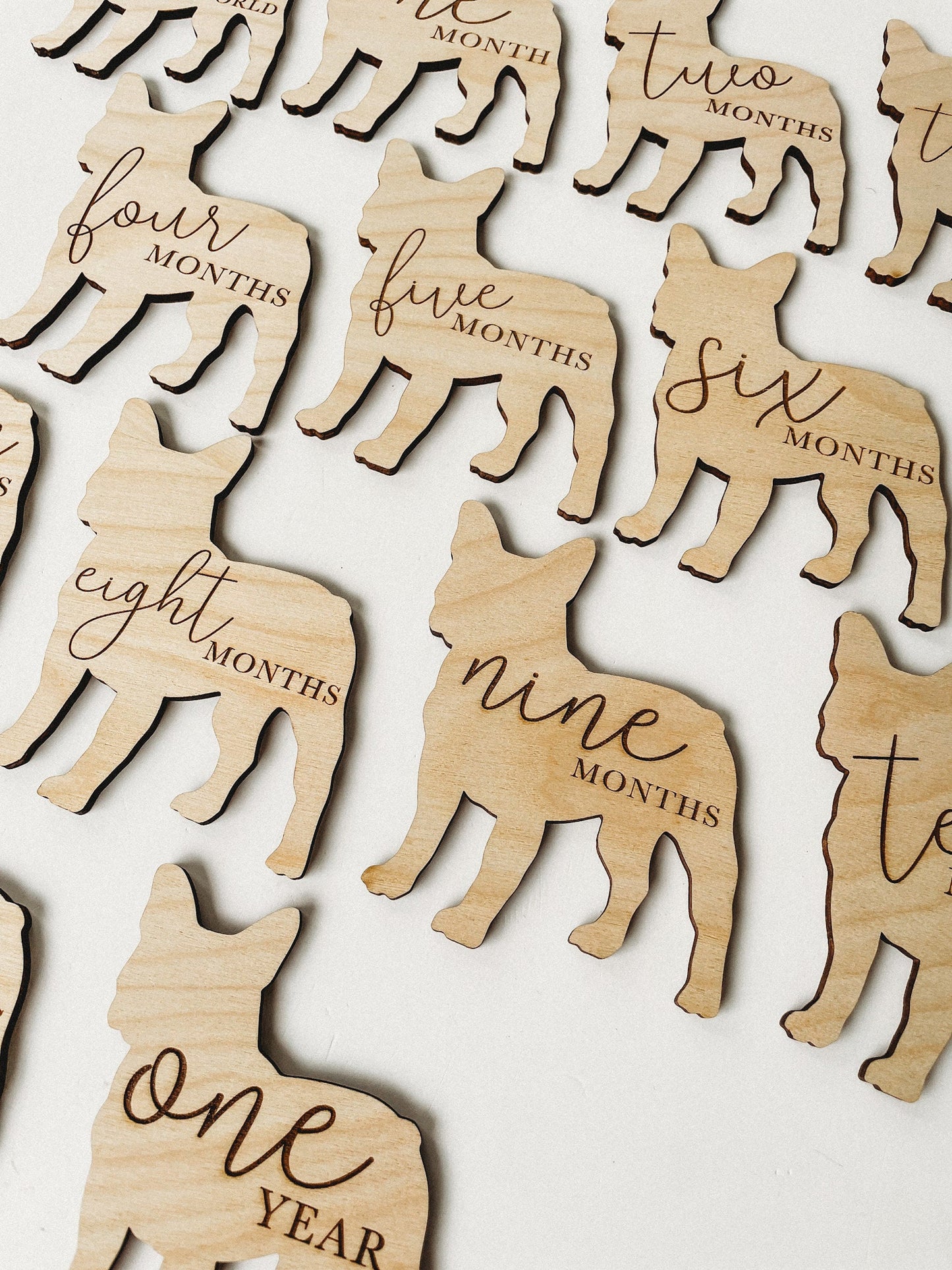 Dog Nursery French Bull Dog Monthly Milestone Plaques