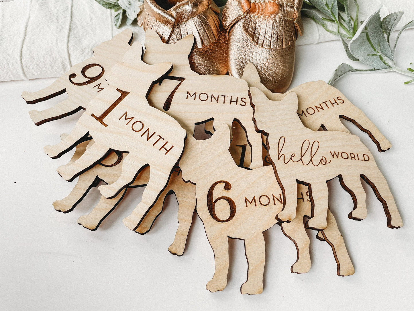 Dog Nursery French Bull Dog Monthly Milestone Plaques