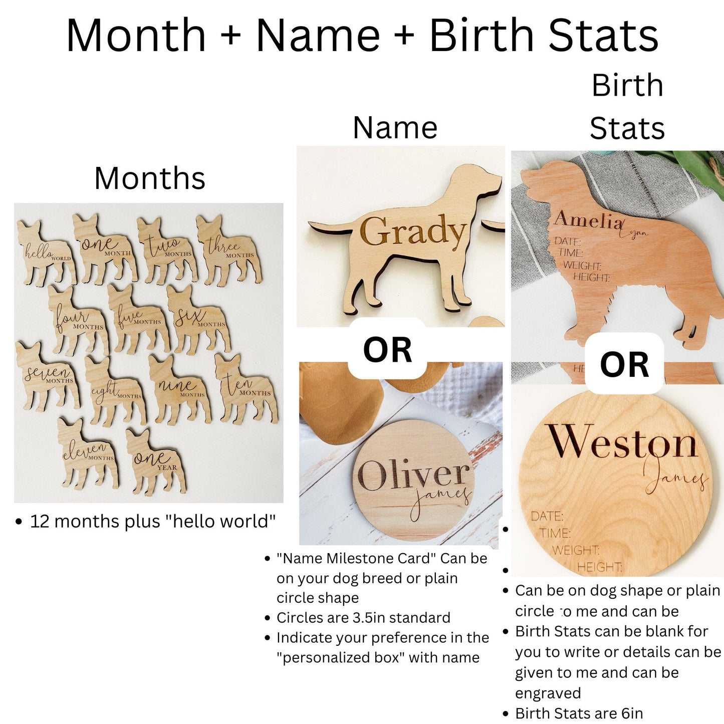 Dog Nursery French Bull Dog Monthly Milestone Plaques
