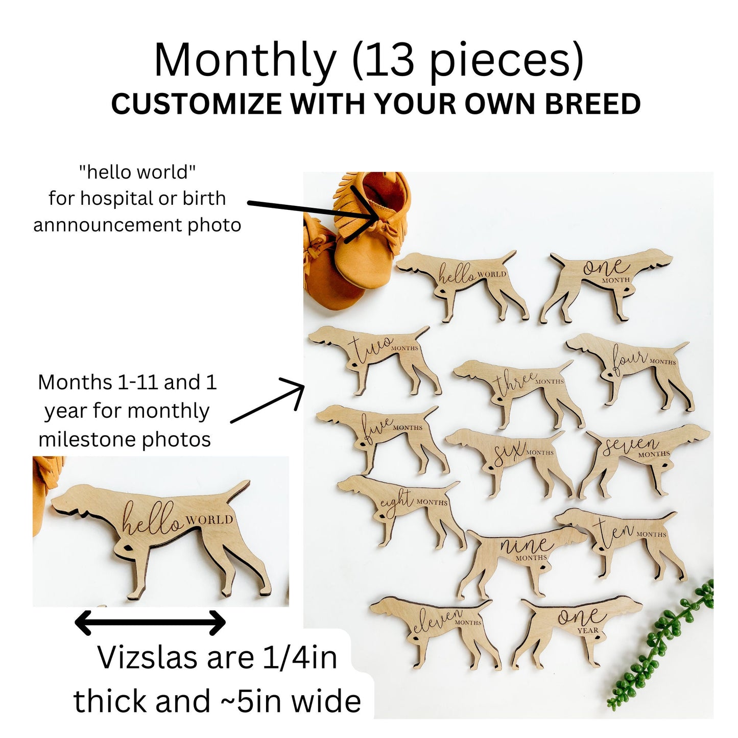 Dog Nursery Pit Bull Monthly Milestone Plaques