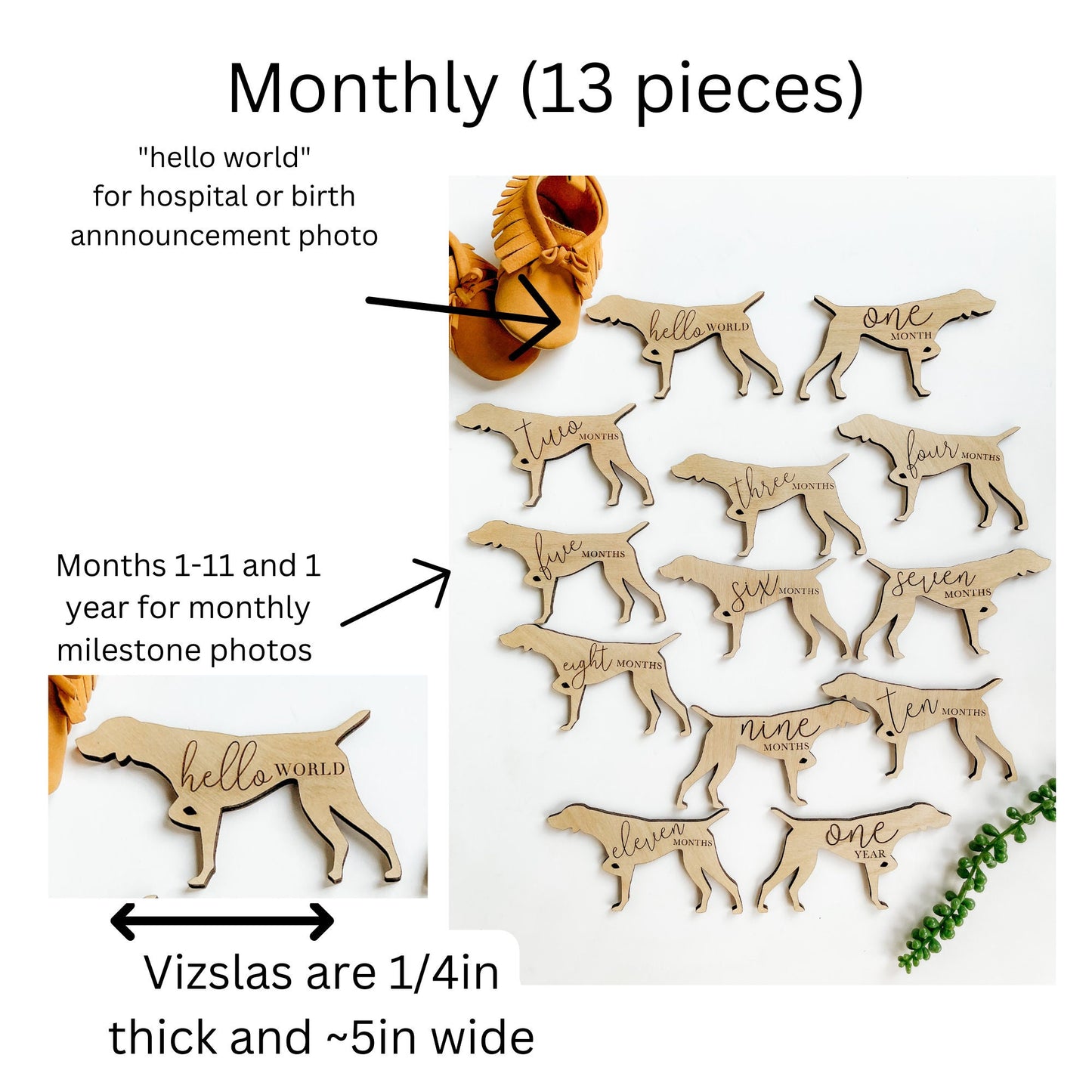Dog Monthly Milestone Plaques