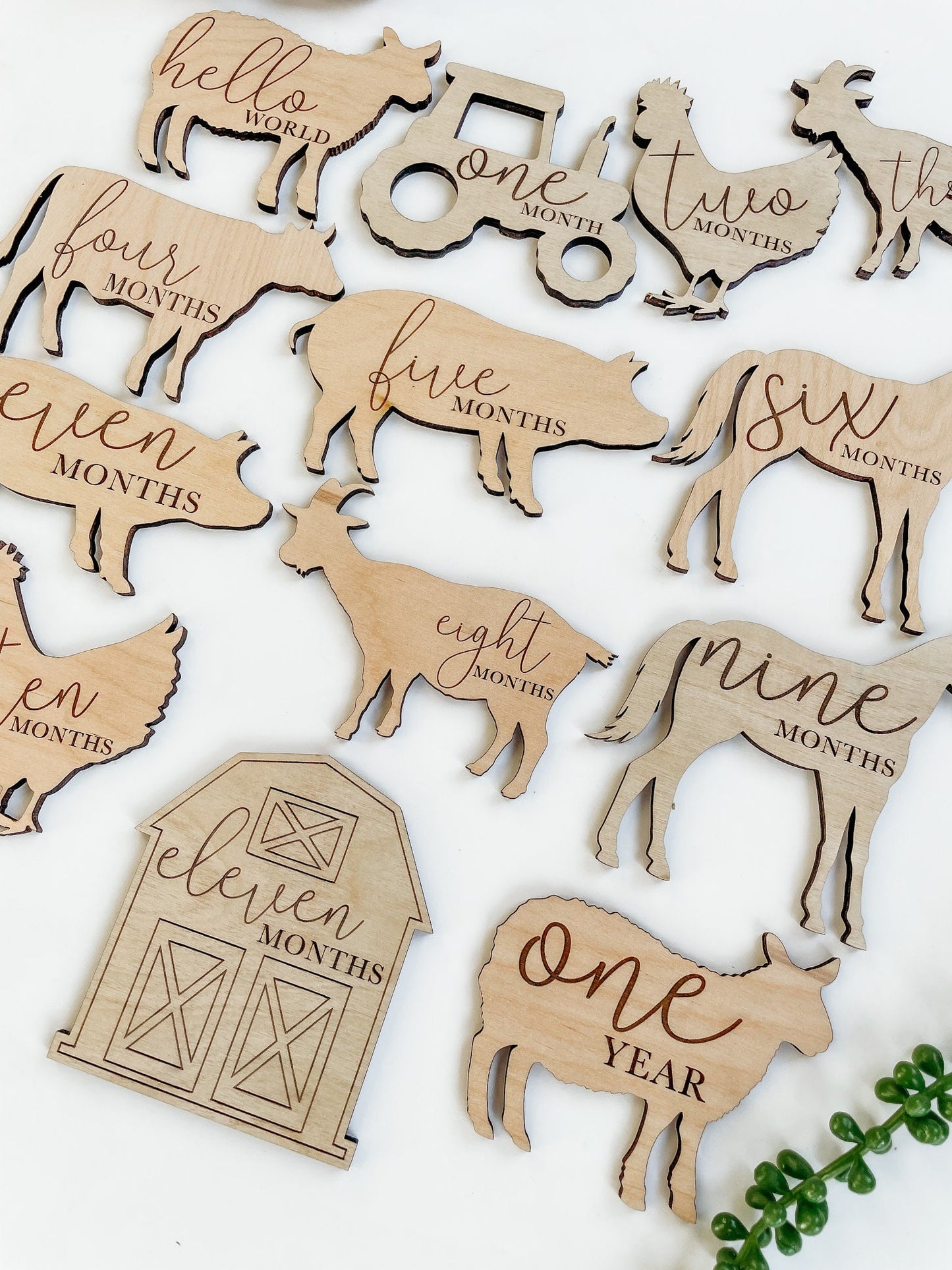 Farm Animal Theme Nursery Baby Milestone Cards