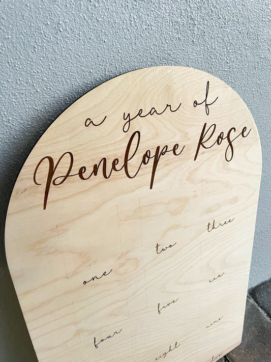 One Year of Birthday Photo Board