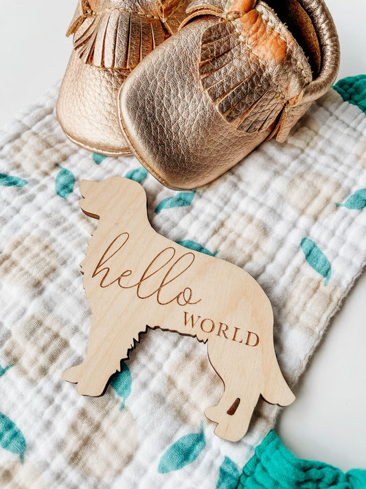 Dog Nursery Golden Retriever Monthly Milestone Plaques