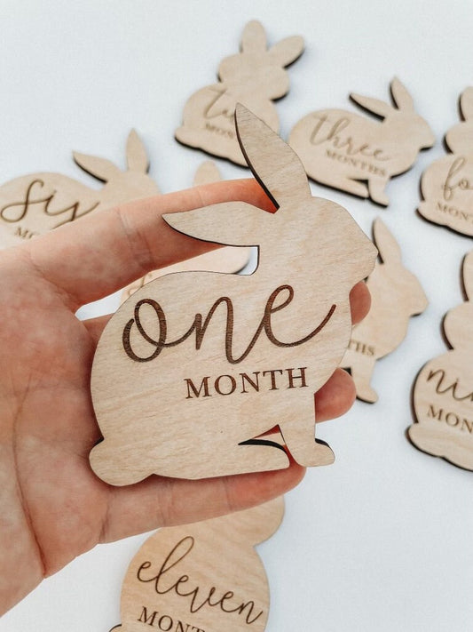 Bunny Monthly Milestone For Baby Photos