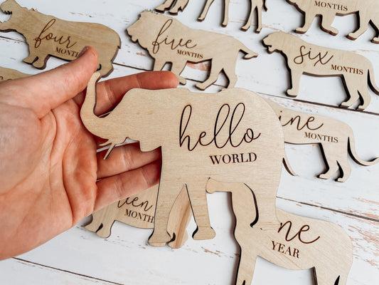 Wooden Monthly Milestone Disc & Safari Animals For Baby Photos