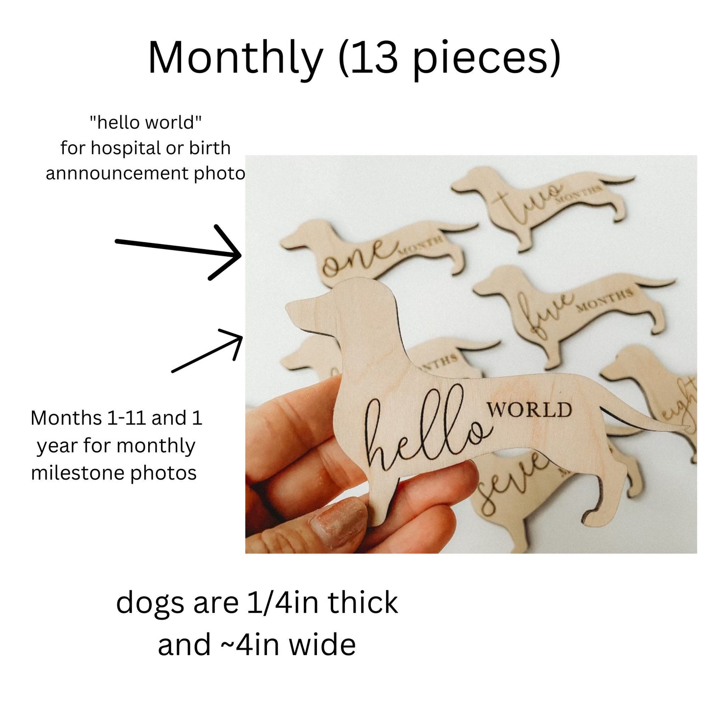 Dog Nursery Beagle Monthly Milestone Cards