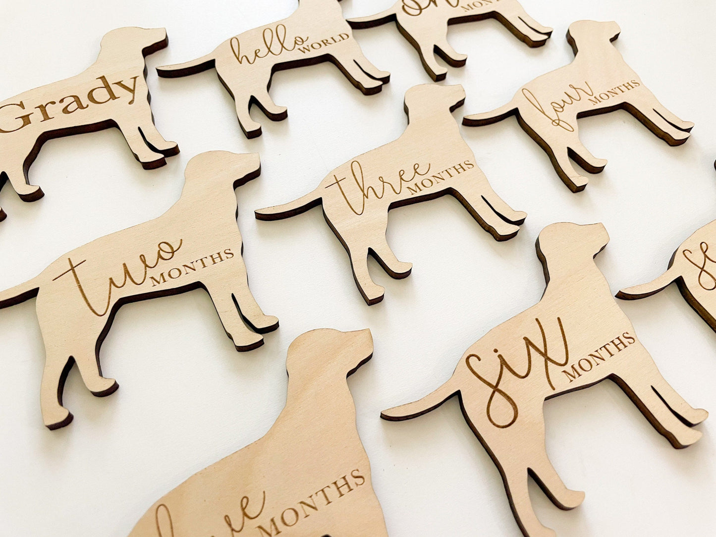 Dog Nursery Labrador Monthly Milestone Plaques