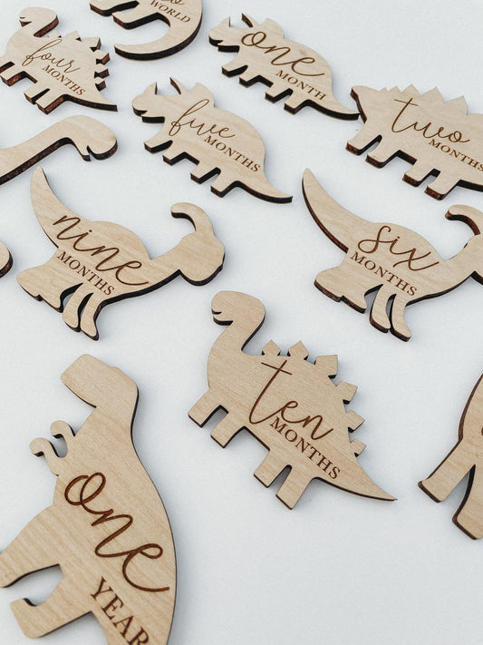 Dinosaur Monthly Milestone For Baby Photos