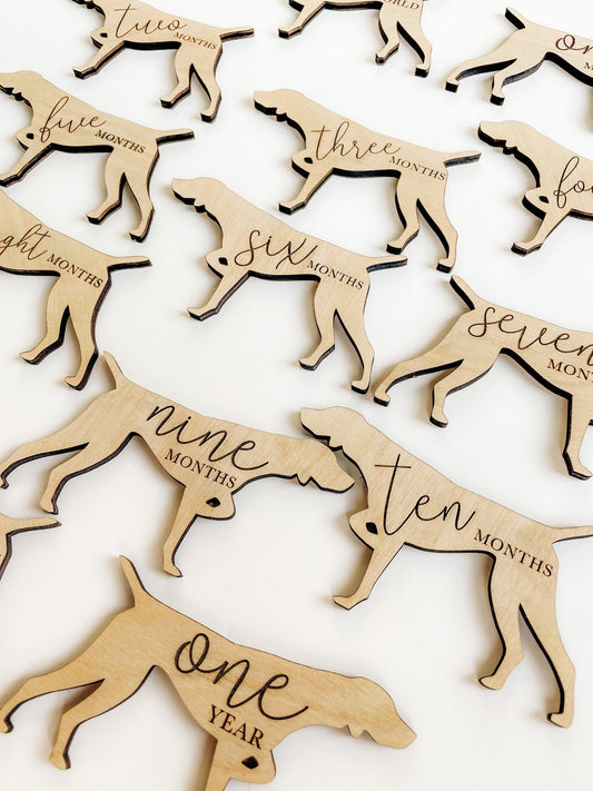 Dog Monthly Milestone Plaques