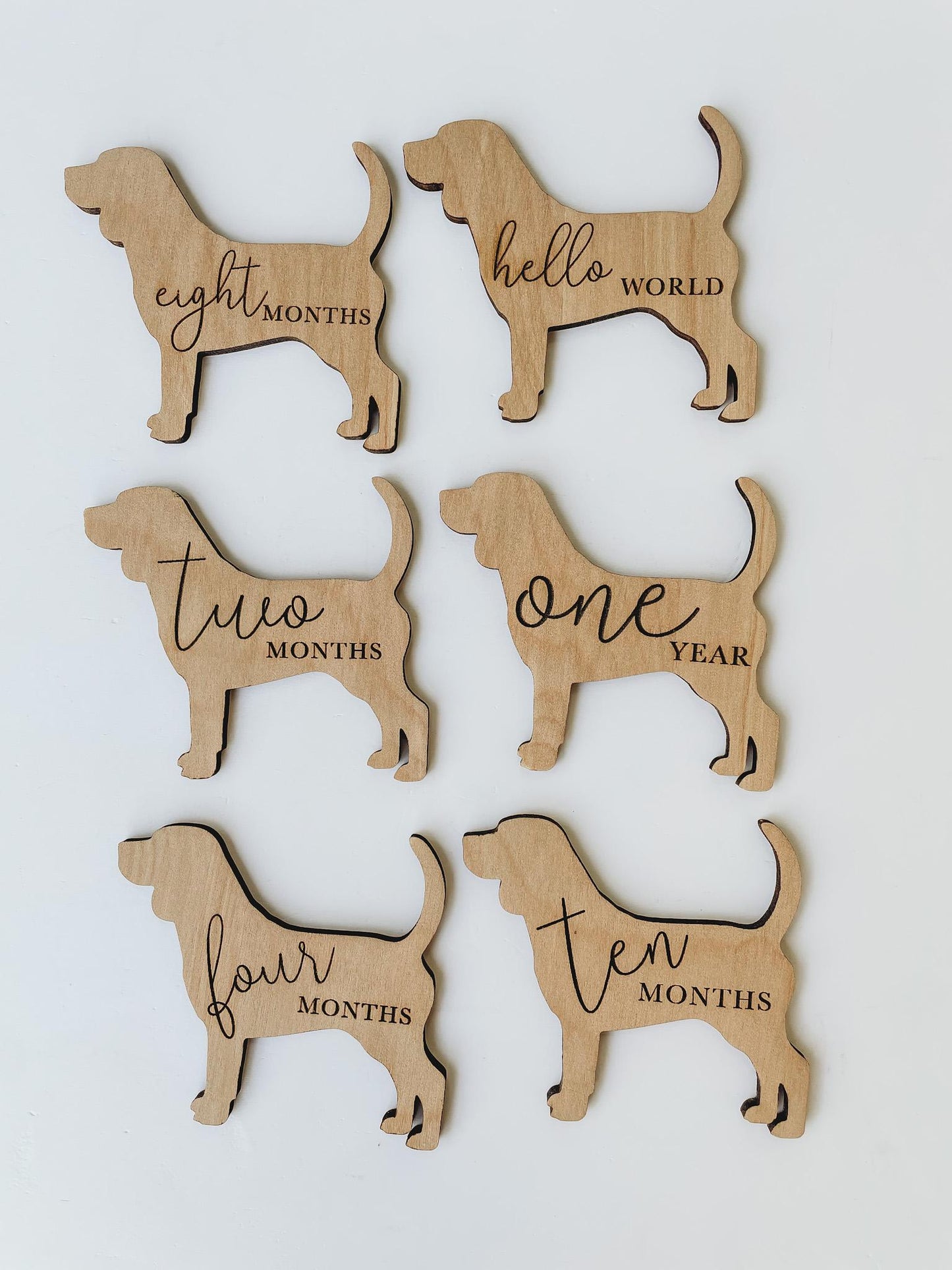 Dog Nursery Beagle Monthly Milestone Cards