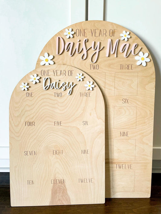 One Year of Baby Photo Board