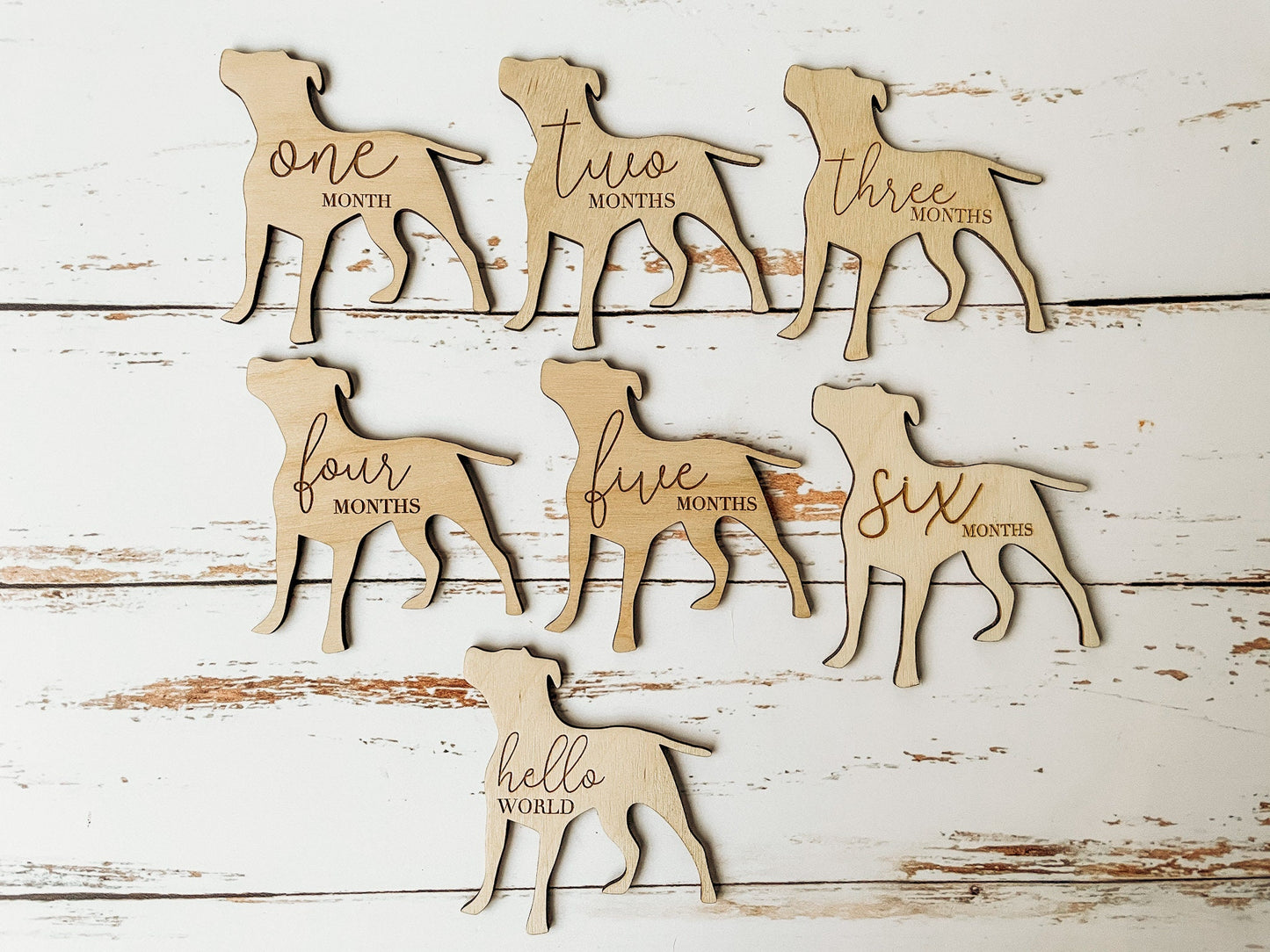 Dog Nursery Pit Bull Monthly Milestone Plaques
