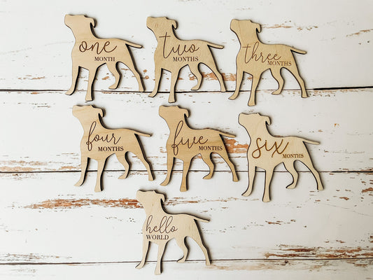 Dog Nursery Pit Bull Monthly Milestone Plaques