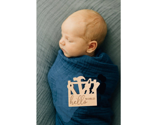 Tool Nursery Monthly Milestone Plaques