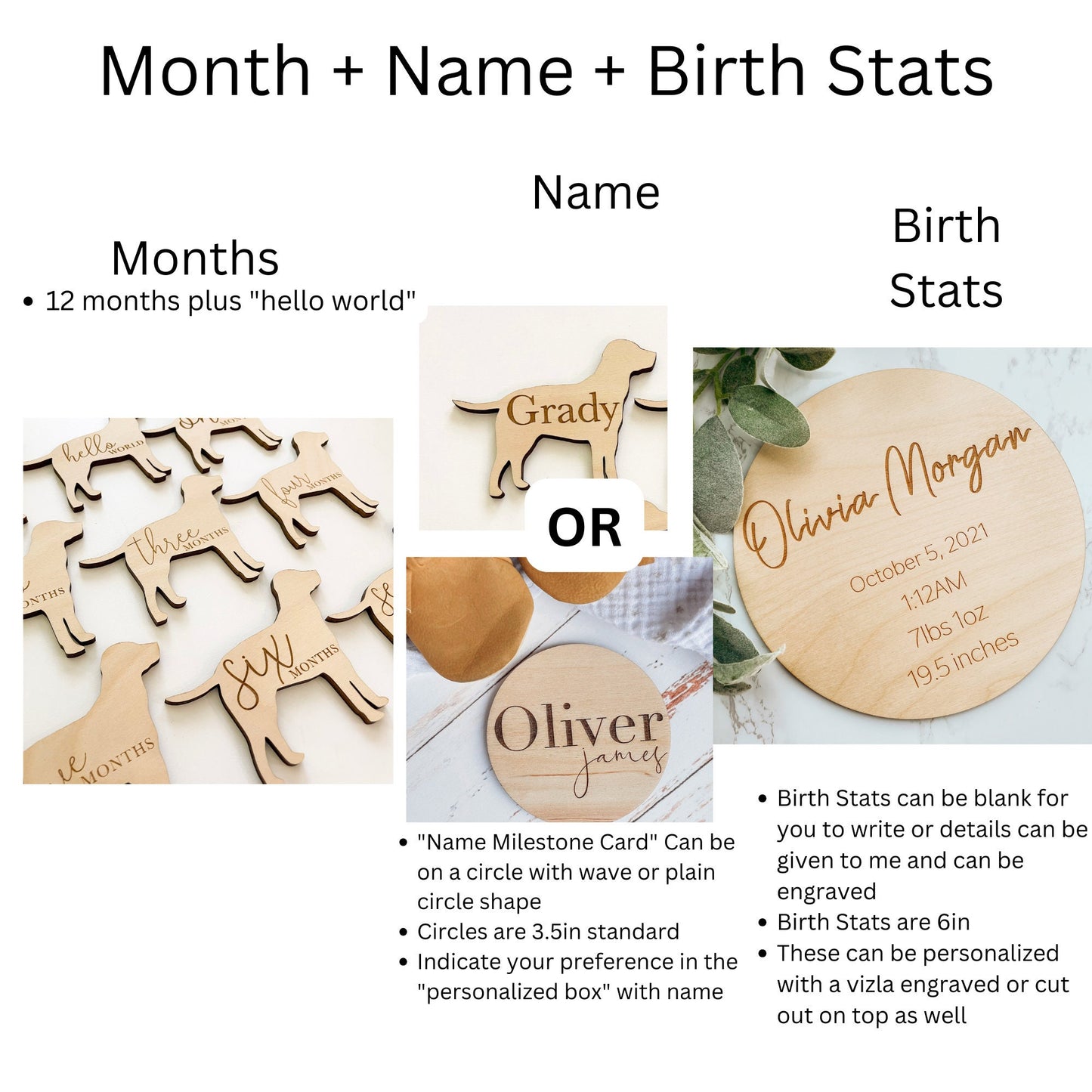 Dog Nursery Labrador Monthly Milestone Plaques