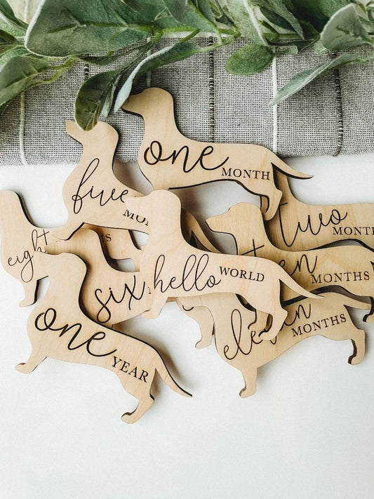 Dog Nursery Dachshund Monthly Milestone Plaques