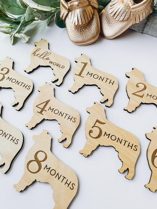 Dog Nursery Australian Shepherd Monthly Milestone Plaques