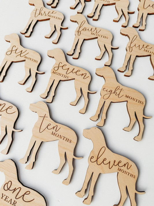 Dog Nursery Great Dane Monthly Milestone Plaques