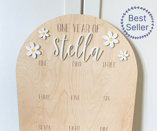 One Year of Baby Photo Board with Daisies