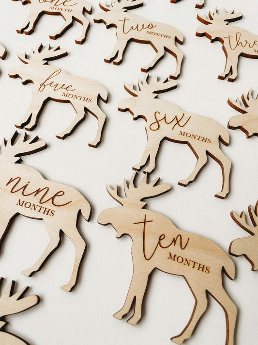 Woodland Baby Monthly Milestone Markers