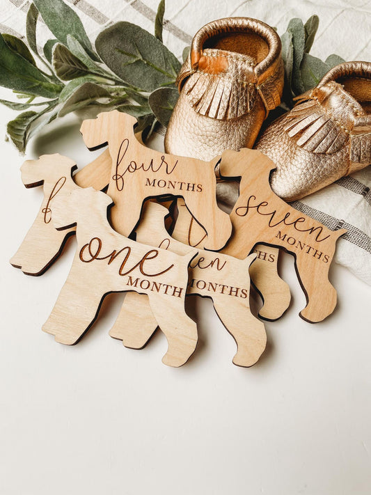 Dog Nursery Schnauzer Monthly Milestone Plaques