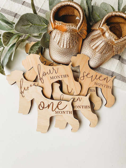 Dog Nursery Schnauzer Monthly Milestone Plaques
