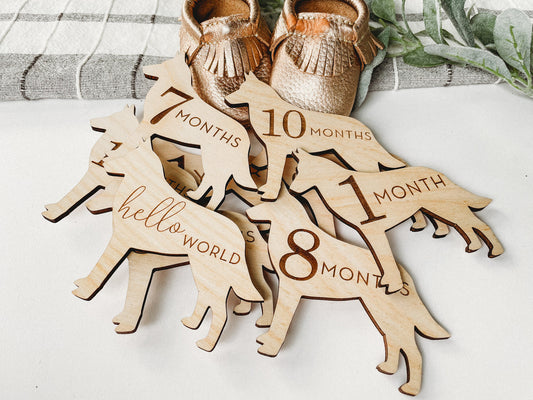 Dog Nursery German Shepherd Monthly Milestone Plaques