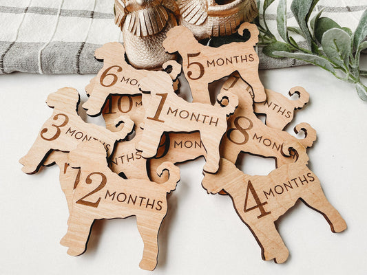 Dog Nursery Goldendoodle Monthly Milestone Plaques