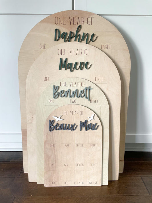12 Months of Photo Display